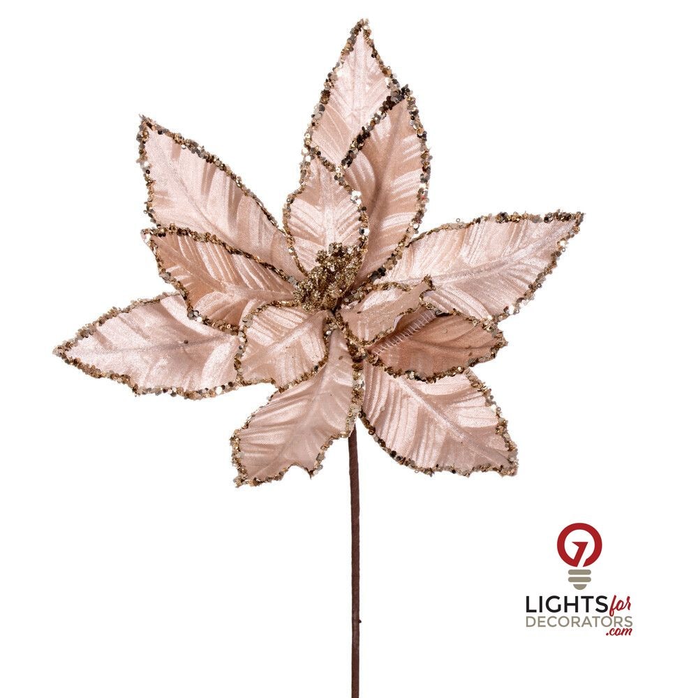 24" Velvet Poinsettia - Set of 3 - Champagne