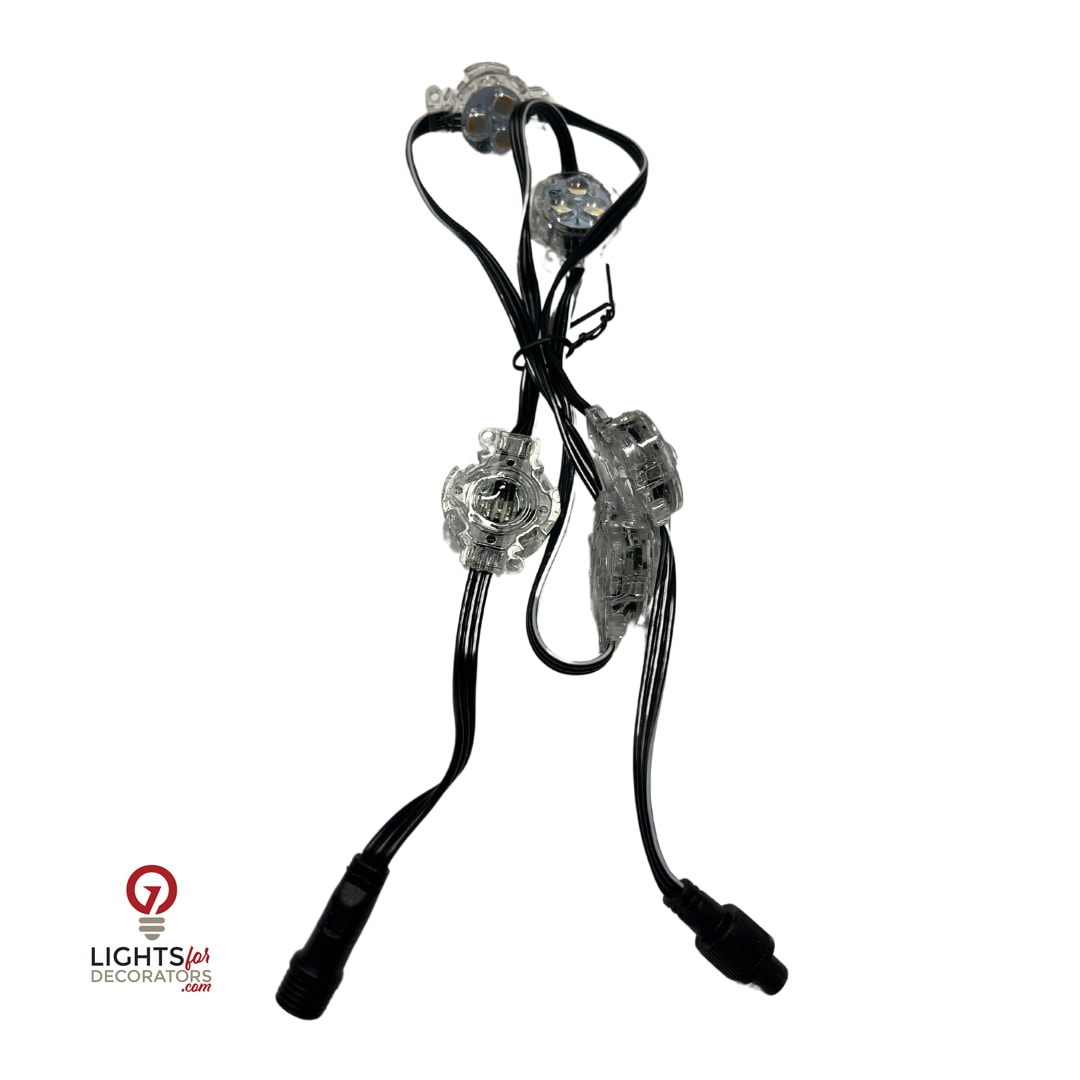 OMNI RGBW Architectural Light - Standard Connector - 12 Volt - Set of 5