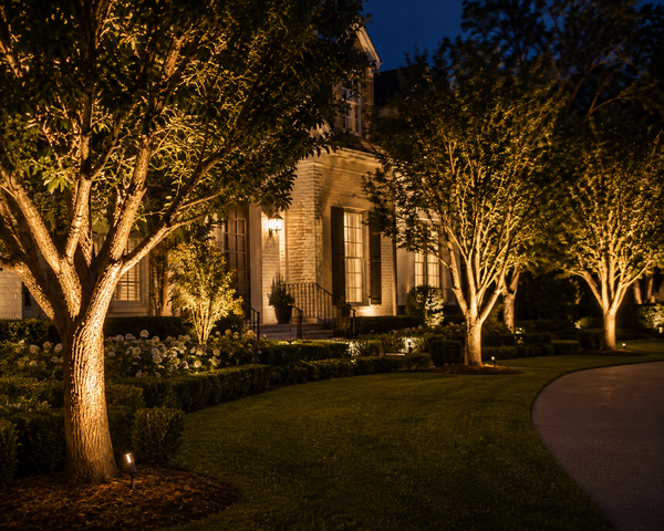 OMNI - Smart Landscape and Accent Lighting