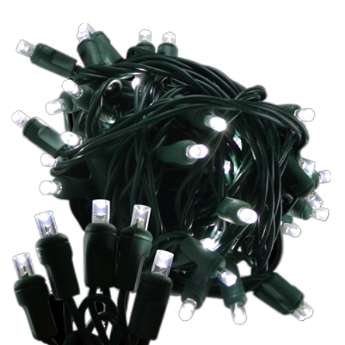 LED 5MM Light Set - Plugged - Steady Function