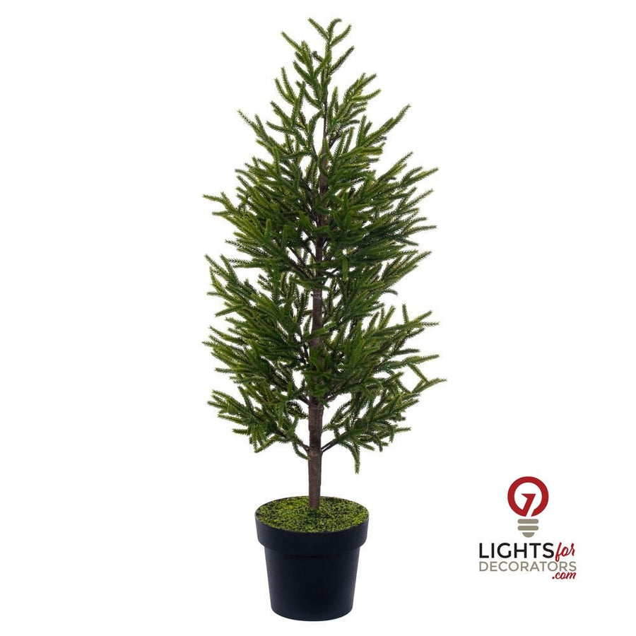 40.5" Potted Norfolk Pine Tree 40.5"