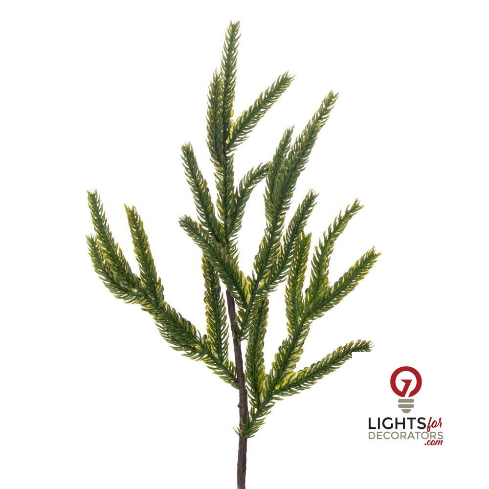 40.5" Potted Norfolk Pine Tree — alternate view