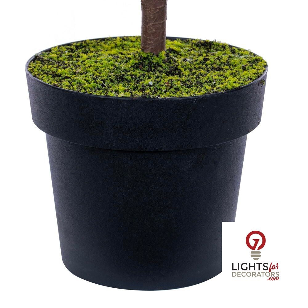40.5" Potted Norfolk Pine Tree — alternate view