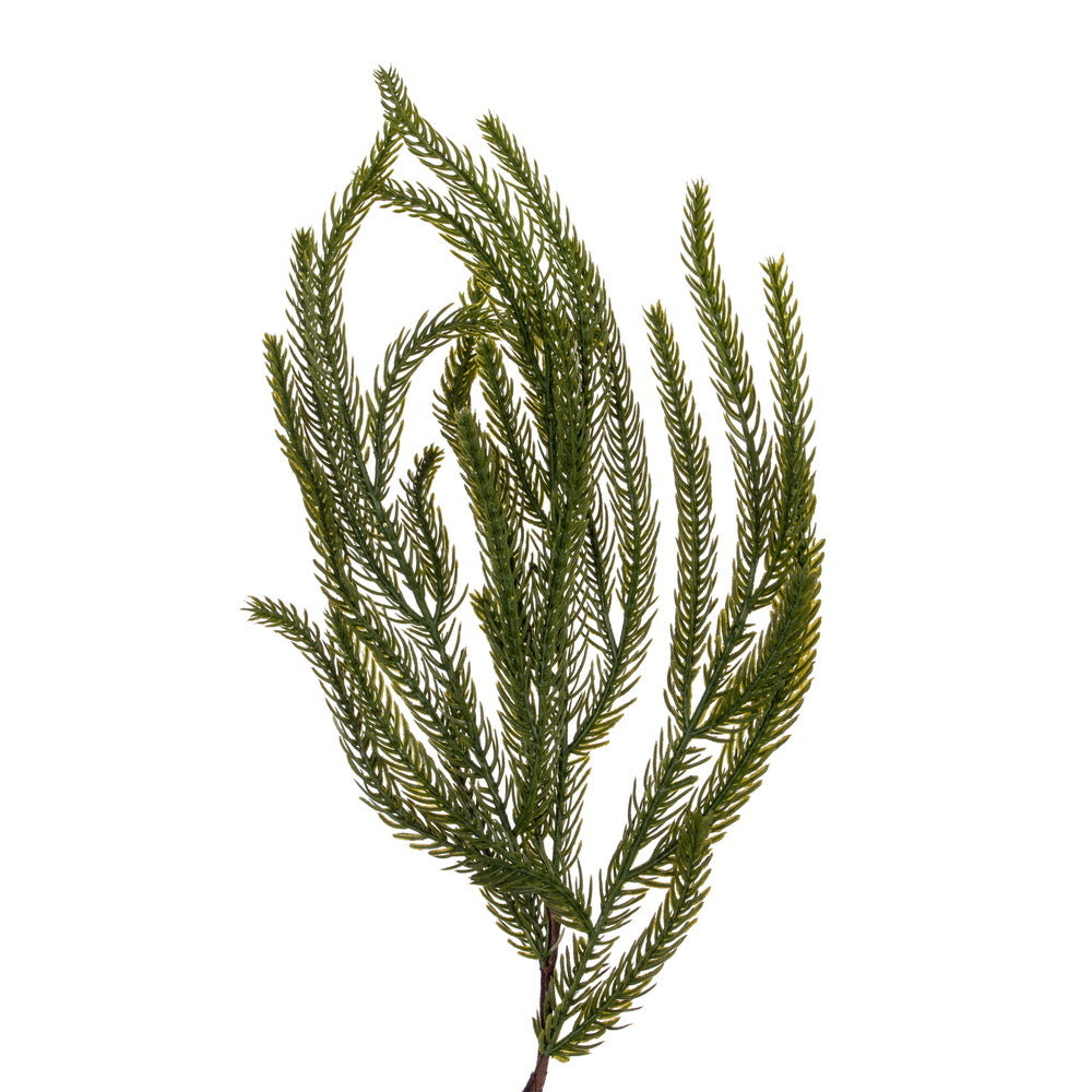 63" Green Norfolk Pine Garland — view 2