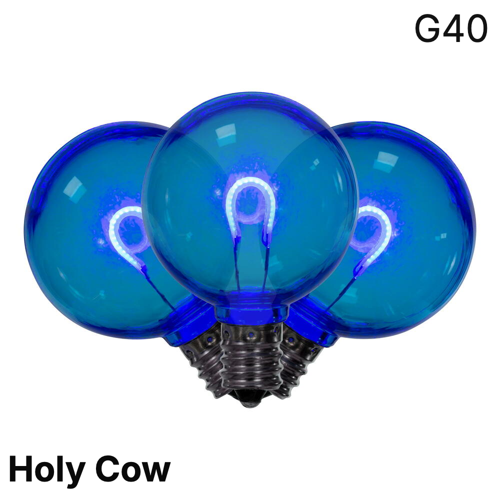 Blue LED G40 - Arched Filament Bulb - Steady — view 1