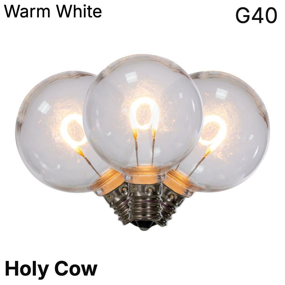 Warm White LED G40- Arched Filament Bulb - Steady — view 1