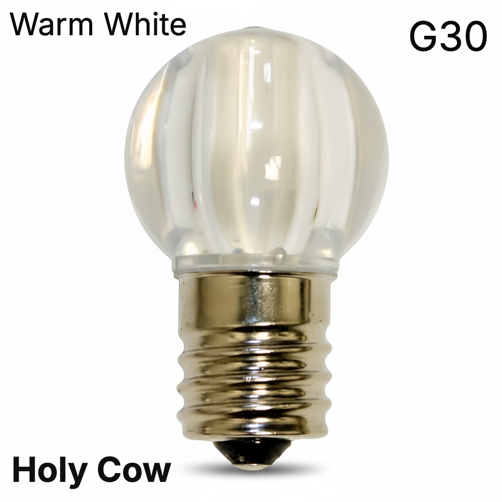 Warm White LED G30 - Transparent Bulb - Steady — view 1