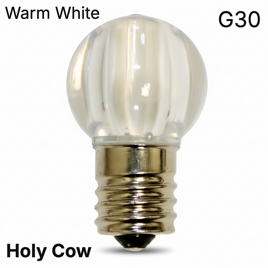 Warm White LED G30 - Transparent Bulb - Steady