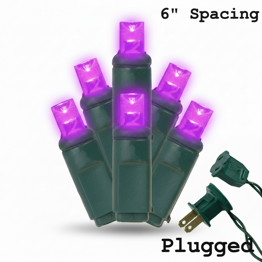 5MM 50L Light Set BALLED - 6" Green Cord - PURPLE