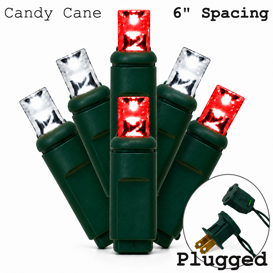 5MM 50L Light Set BALLED - 6" Green Cord - CANDY CANE