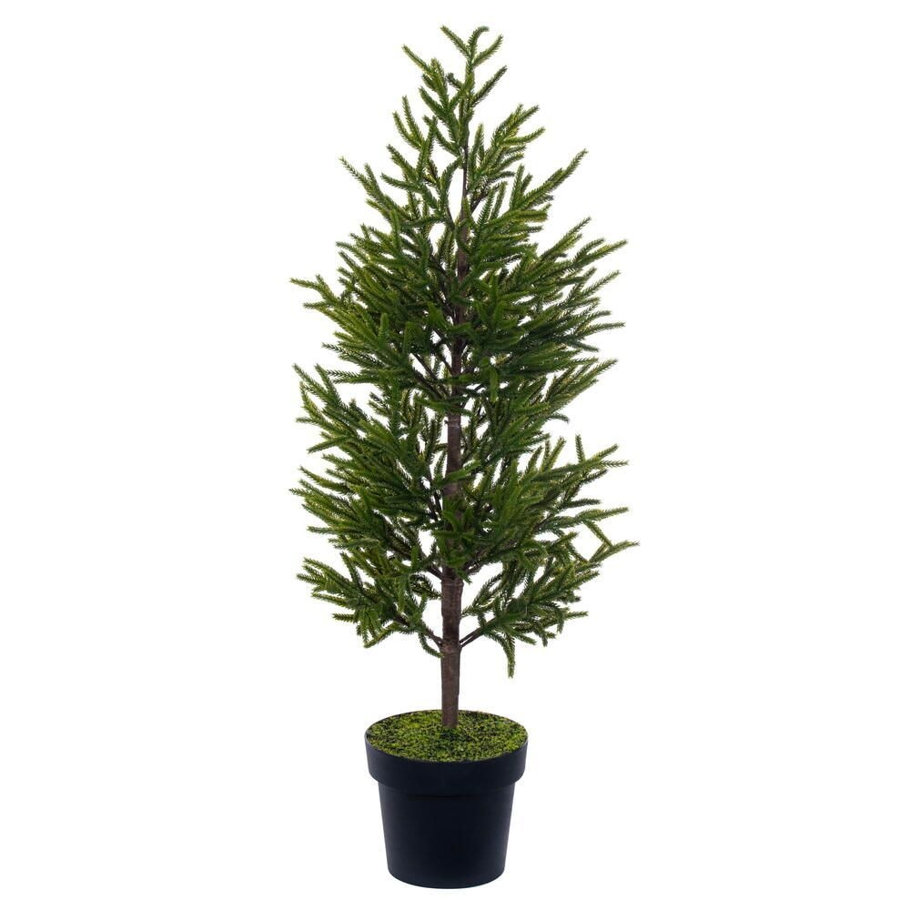 40.5" Potted Norfolk Pine Tree — view 1