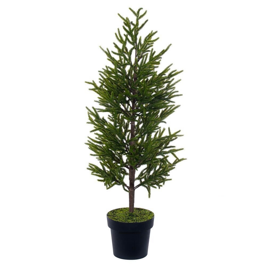 40.5" Potted Norfolk Pine Tree 40.5"
