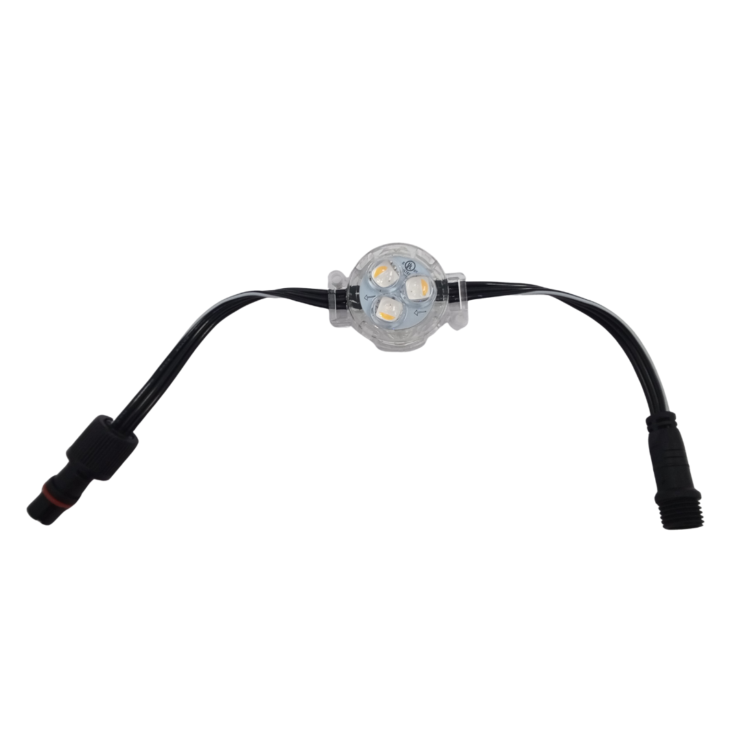 RGBW 12 Volt LED