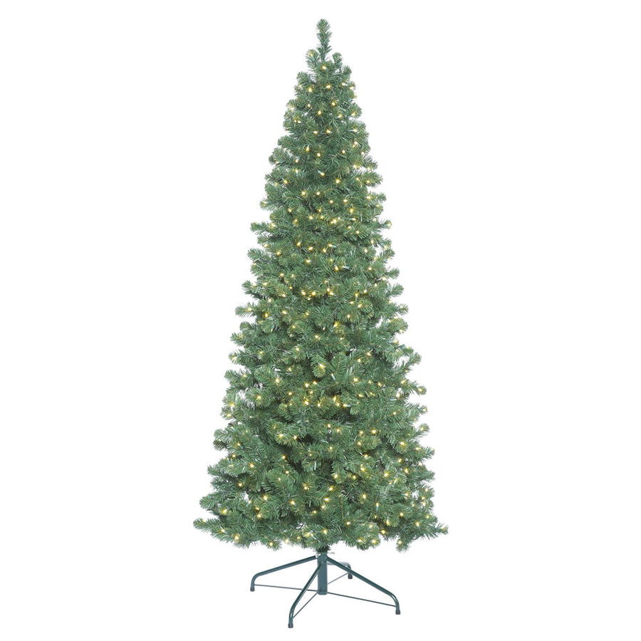 Oregon Slim Christmas Tree (6.5' -18' tall)