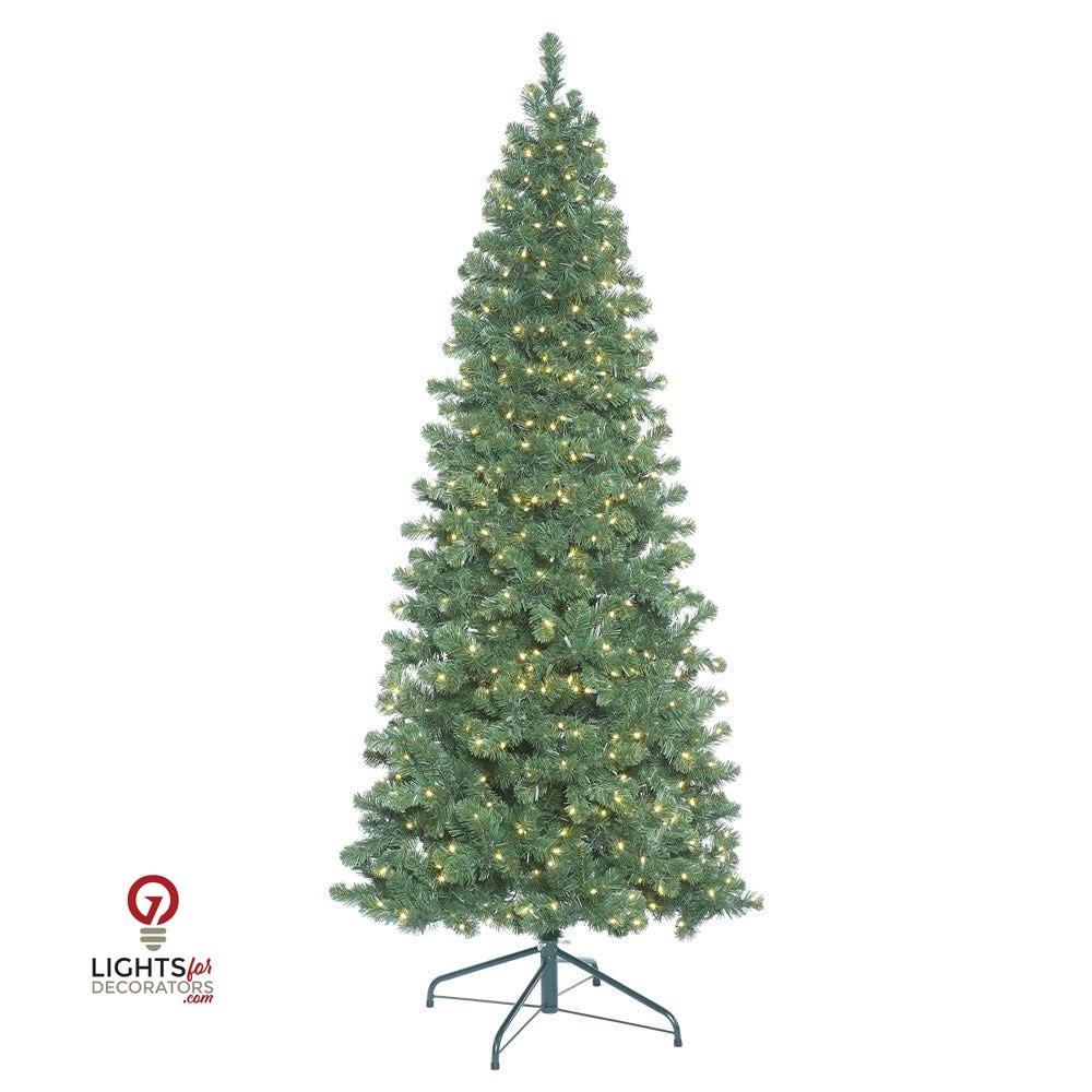 Oregon Slim Christmas Tree (6.5' -18' tall)