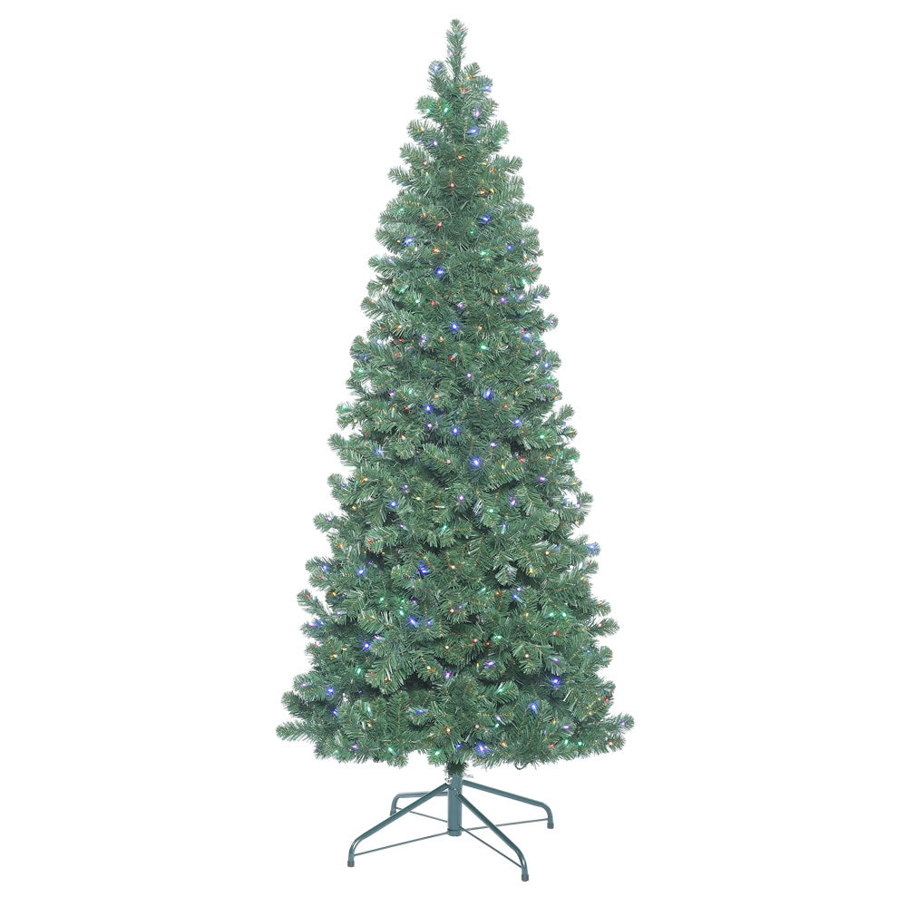 Oregon Slim Christmas Tree (6.5' -18' tall)