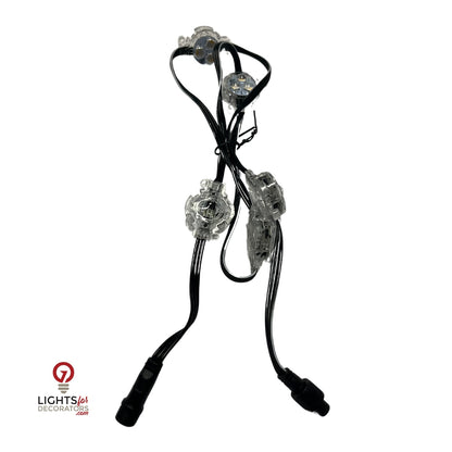 OMNI RGBW Architectural Light - Standard Connector - 12 Volt - Set of 5