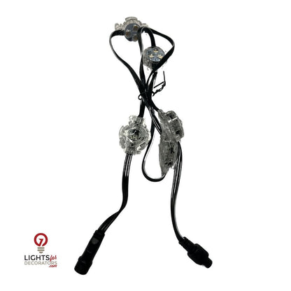 OMNI RGBW Architectural Light - Enhanced Connector - 12 Volt - Set of 5