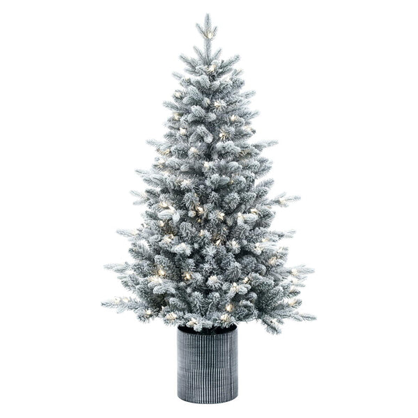 4.5' x 30" Frost Potted Spruce Tree