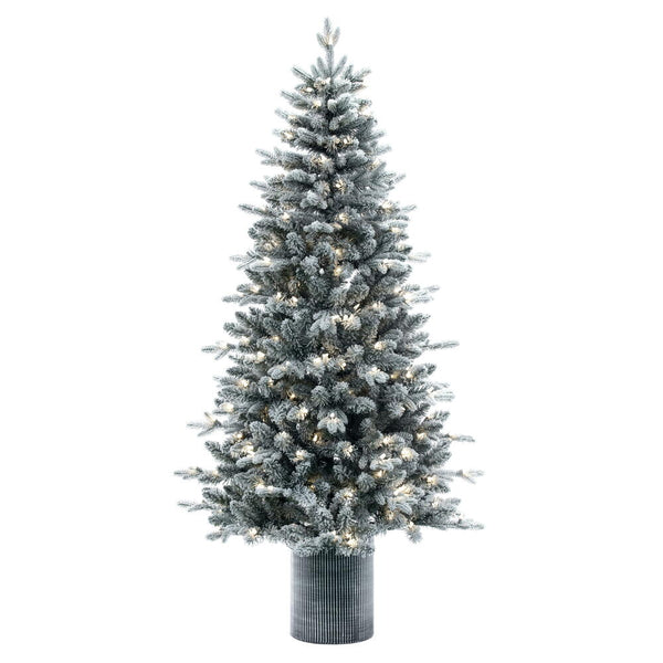 6' x 39" Frost Potted Spruce Tree