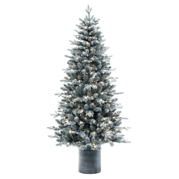 Frosted Spruce Tree in decorative pot - Accent Tree (4.5' and 6')