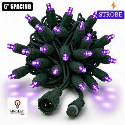 Purple TruLit Pro 5MM LED Light Set - 50 Lights - Strobe - 6" Spacing - Green Wire Purple- 50 Ct - 6"- Green