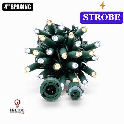 Champagne QuickPro 5MM LED Light Set - 70 Lights - Strobe - 4" Spacing - Green Wire Champagne- 70 Ct - 4"- Green