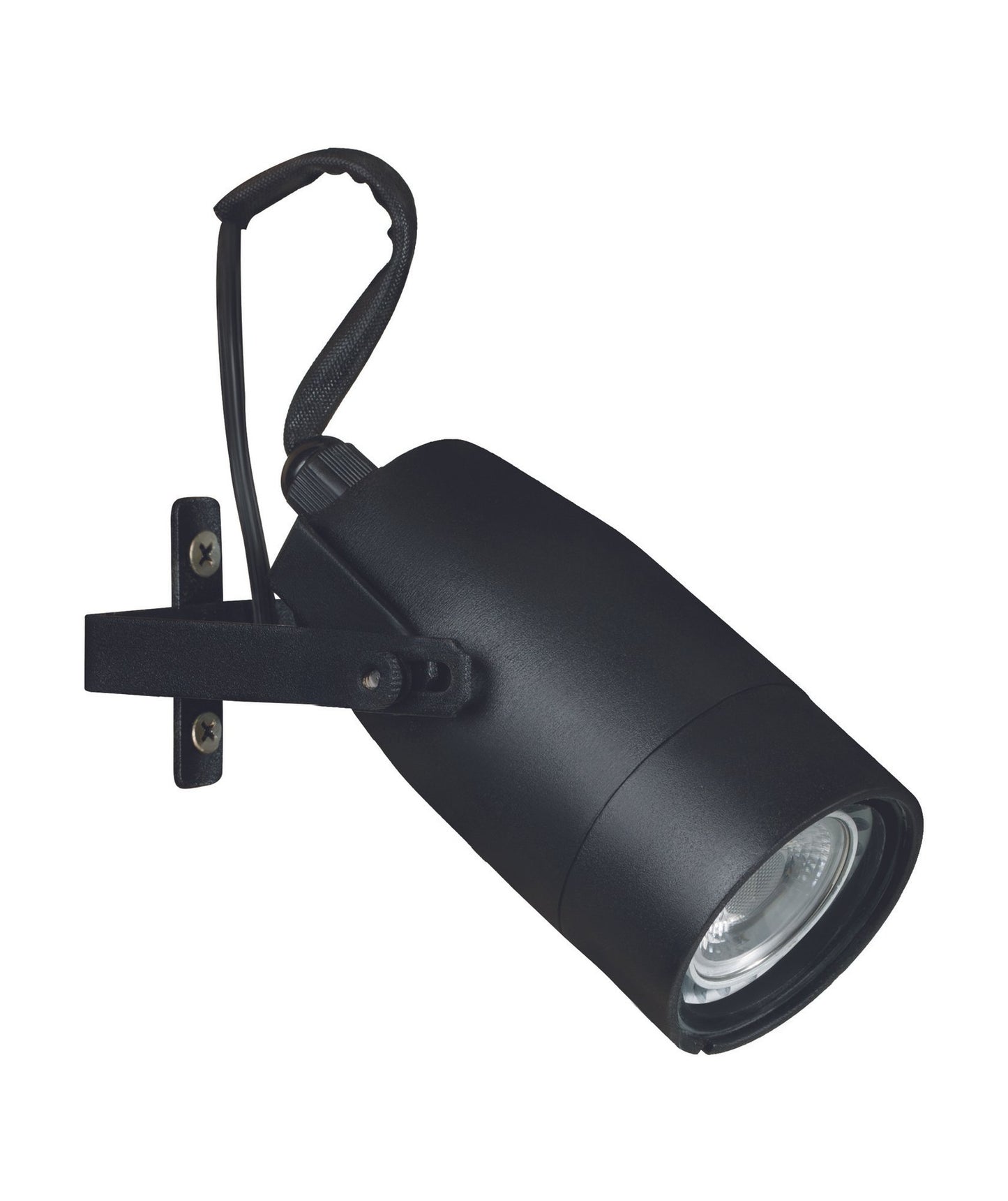 Aluminum Adjustable Down Light, Black, No Lamp — view 1