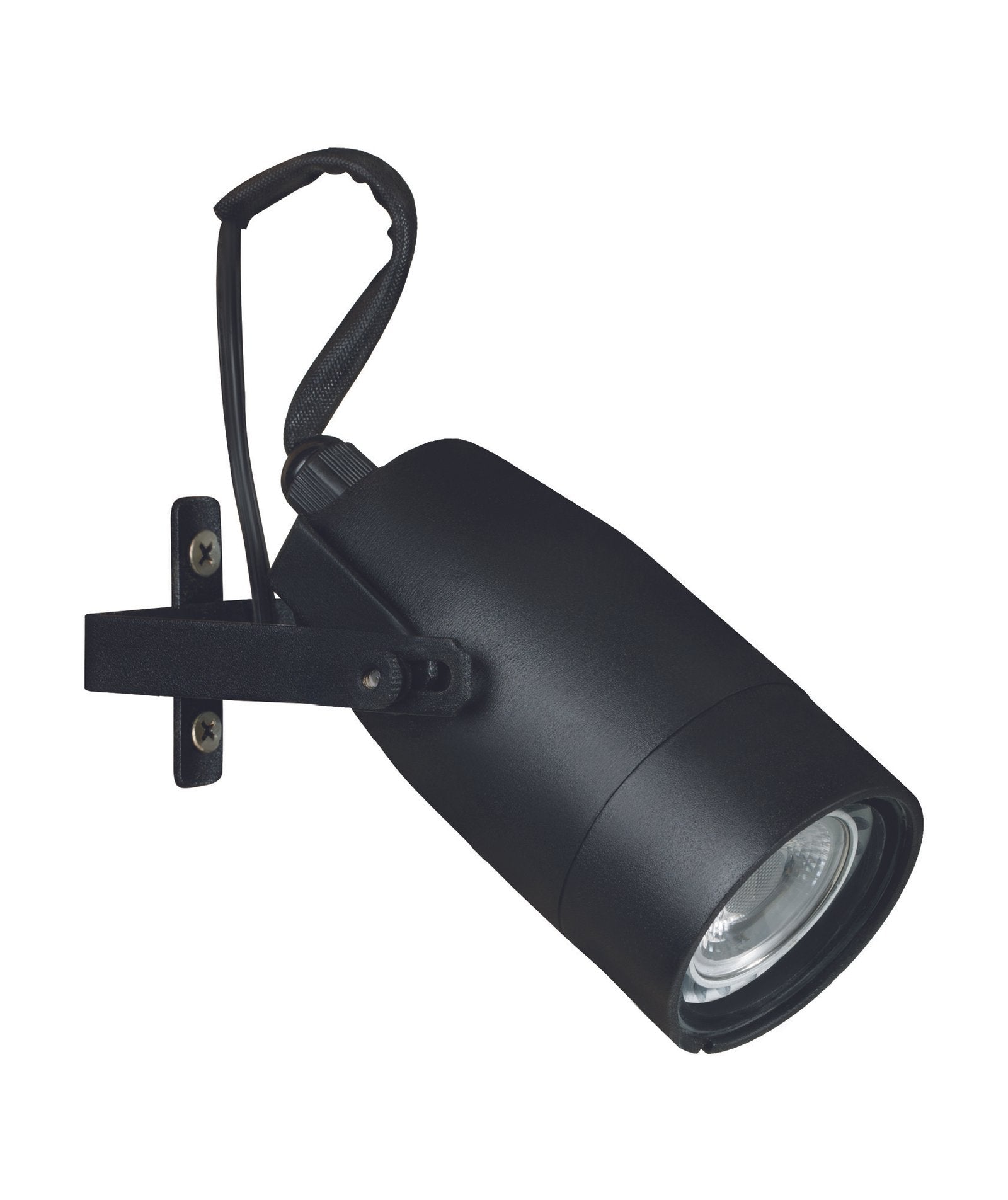 Aluminum Adjustable Down Light, Black, No Lamp — view 1