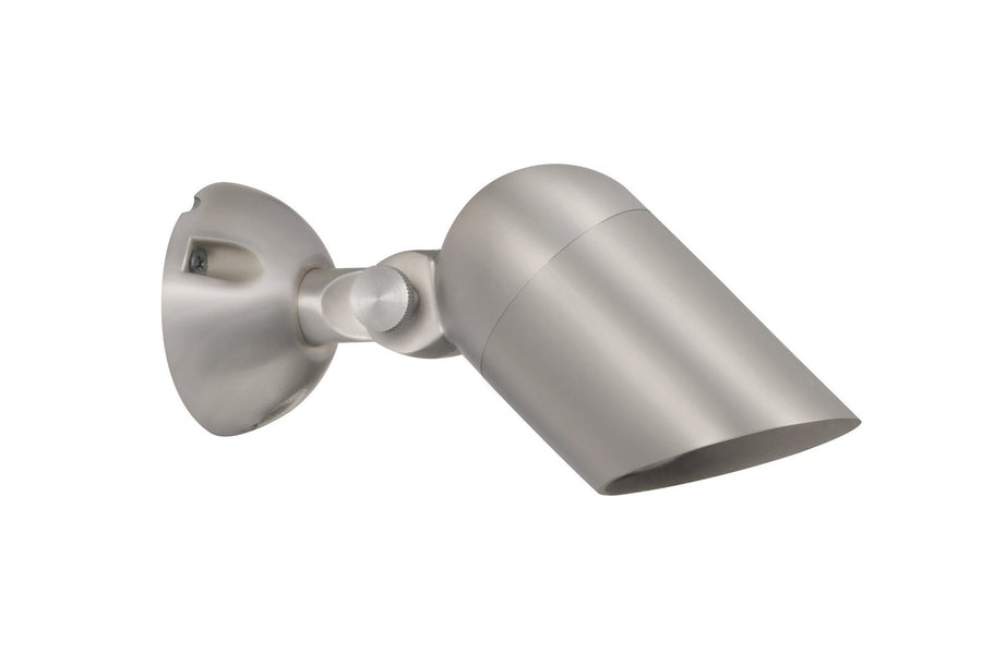 Brass Mini Adjustable Down Light, Silver Plated, No Lamp