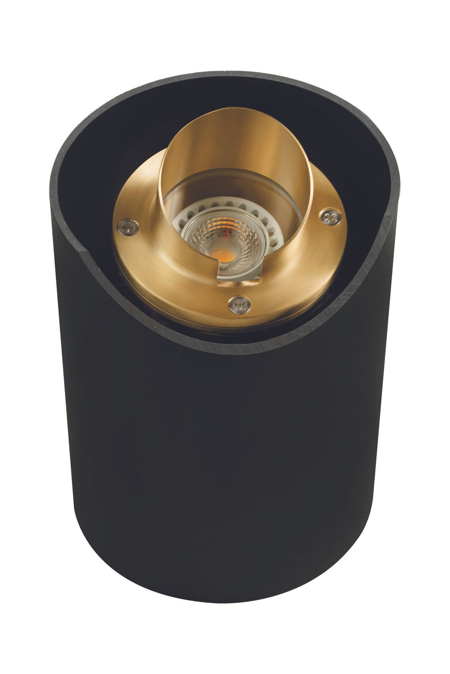 Brass Adjustable Hooded Well Light, Natural Brass, No Lamp