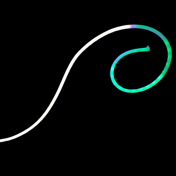 OMNI Neon Strip Series - 12 and 24 volts - IP68