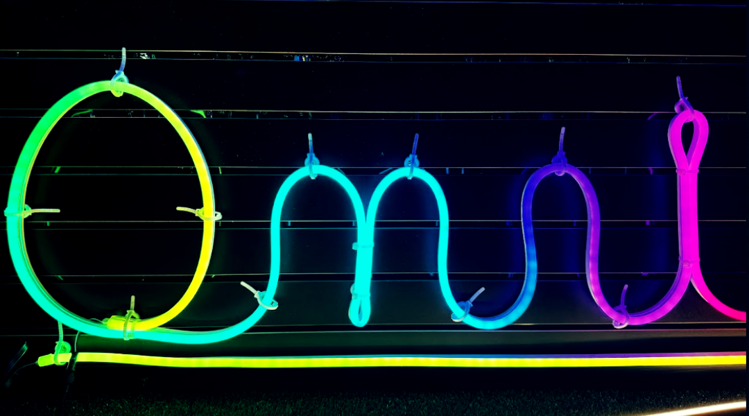 OMNI Neon Strip Series - Tube Neon Sleeve - IP68 - 1910" in Length, 150 Lights - 24 Volts — view 2