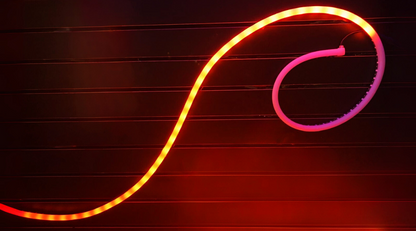 OMNI Neon Strip Series - Tube Neon Sleeve - IP68 - 1910" in Length, 150 Lights - 24 Volts — view 3