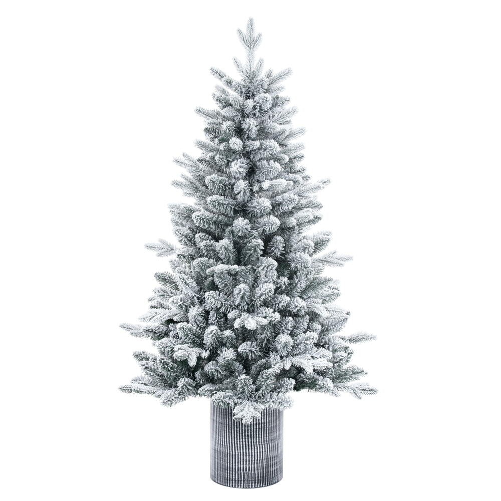 6' Frosted Spruce Accent Tree - Prelit 6' x 39"
