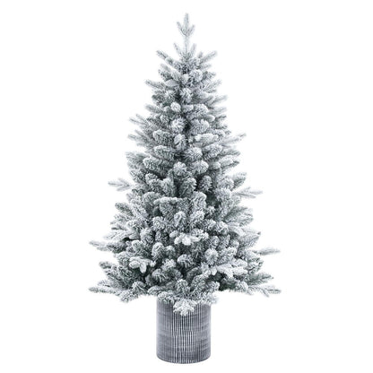 6' Frosted Spruce Accent Tree - Prelit 6' x 39"