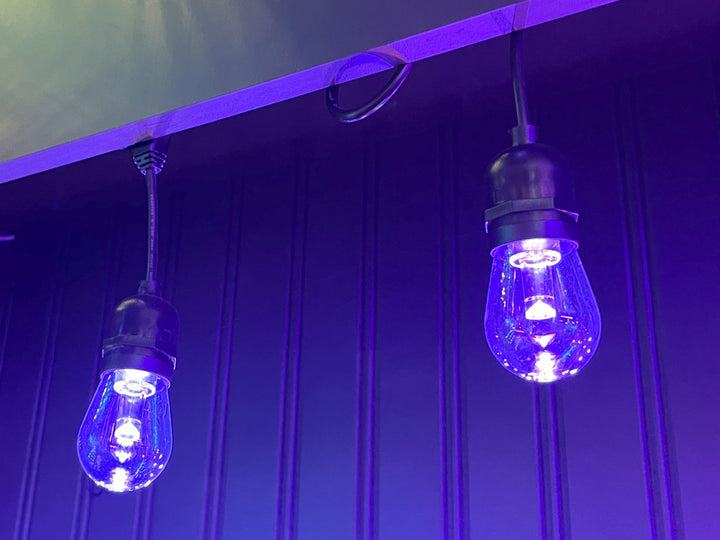 Brighten your space with the OMNI Patio Series - RGBW (3000K) 12 Volt LED, perfect for outdoor entertainment venues.