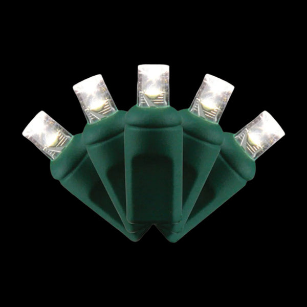 5MM Lights Set - FestivePro Coaxial Connection - Steady Function