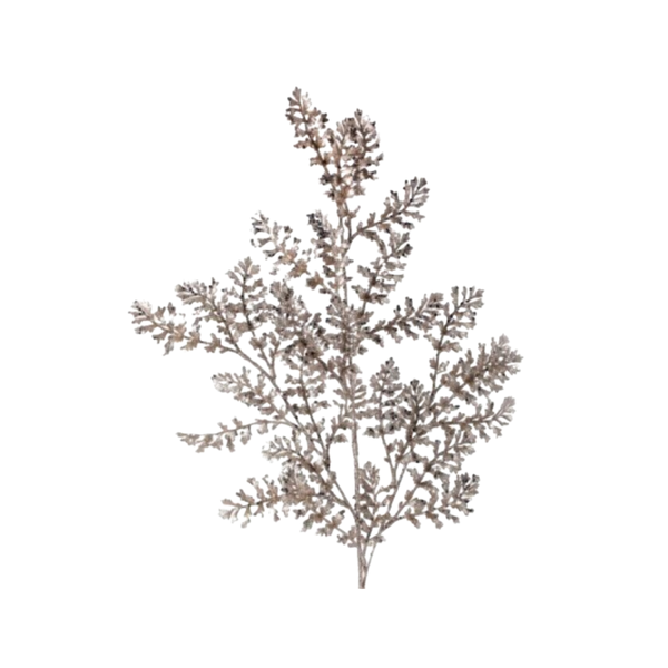 24" GLITTERED WILD FERN SPRAY X 3" - CHAMPAGNE