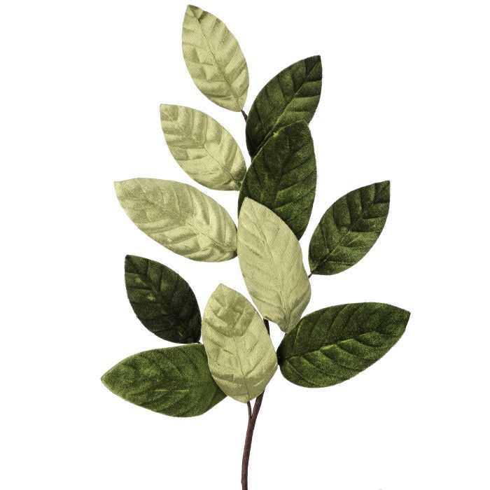 26" Velvet Magnolia Leaf Spray - Green Green – Bag of 1 — view 1