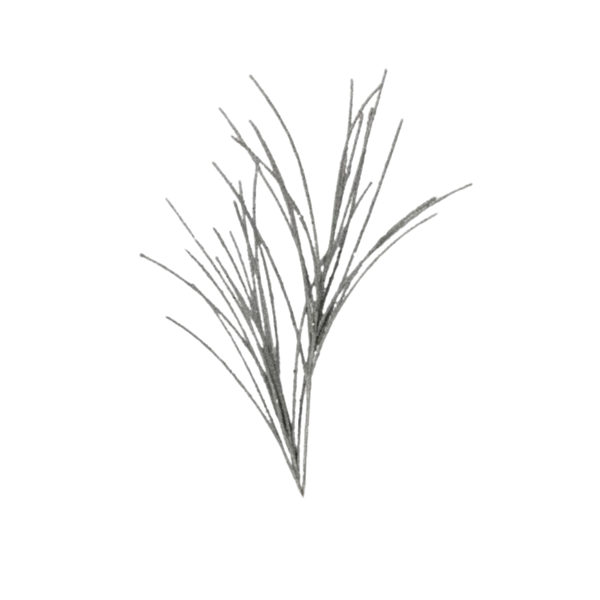 28" Micro Beaded/Sequin Grass Spray