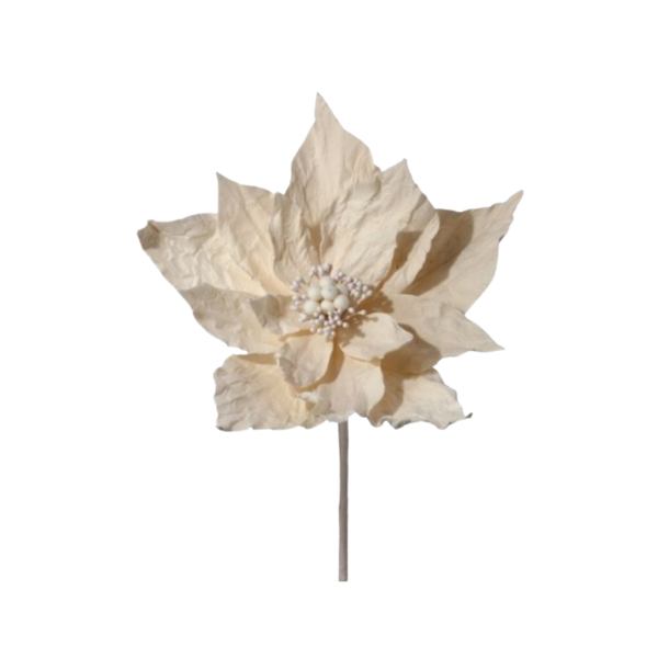 20" Winter Retreat Wrinkle Poinsettia Stem - Cream