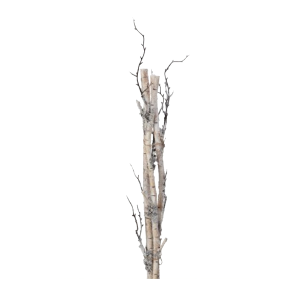 28" Frost Winter Birch Bundle