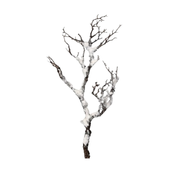 27" Snowy Faux Manzanita Stem - White
