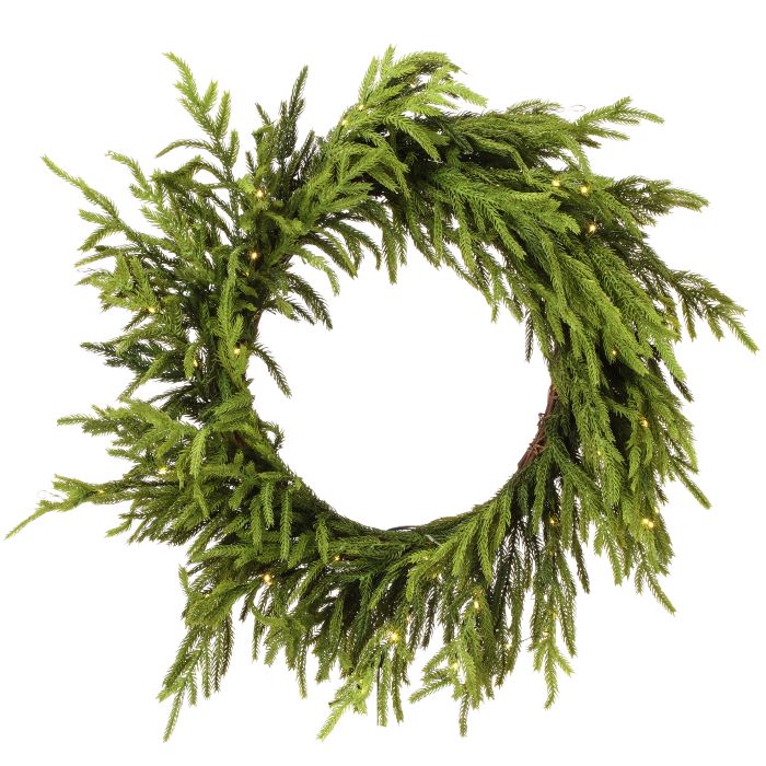 210" Warm White Battery Timer Natural Touch Forest Norfolk Pine Wreath 24"- WW (Battery/timer) — view 1