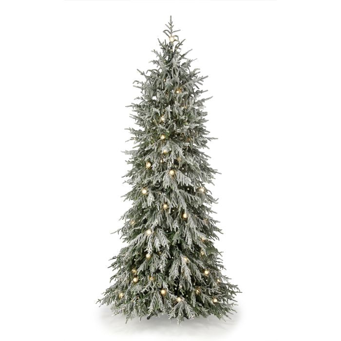 7.5' Snowy Norfolk Christmas Tree -750 Multi Function LED Lights + 63 G40 7.5' X 60" — view 1