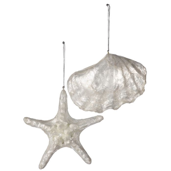 10" Resin w/Capiz Starfish/Shell - Prismatic/Ivory — view 1