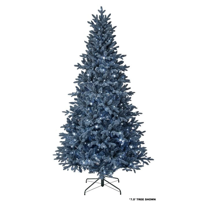 9' Christmas Tree - Blue Bavarian Spruce - Prelit Cool White LED 9' X 56" — view 1