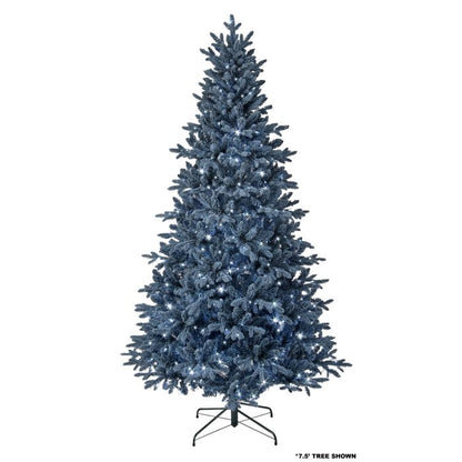 9' Christmas Tree - Blue Bavarian Spruce - Prelit Cool White LED 9' X 56" — view 1