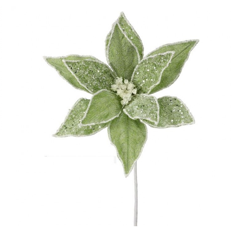 22" Green Sugared Dessert Poinsettia Stem